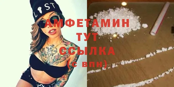ECSTASY Алзамай