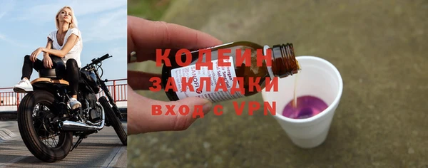 ECSTASY Алзамай