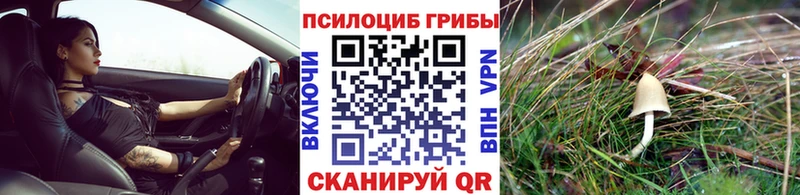Галлюциногенные грибы GOLDEN TEACHER  как найти закладки  Курлово 